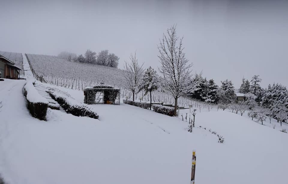 Gasthaus Ca Du Ruja Strevi Exterior foto